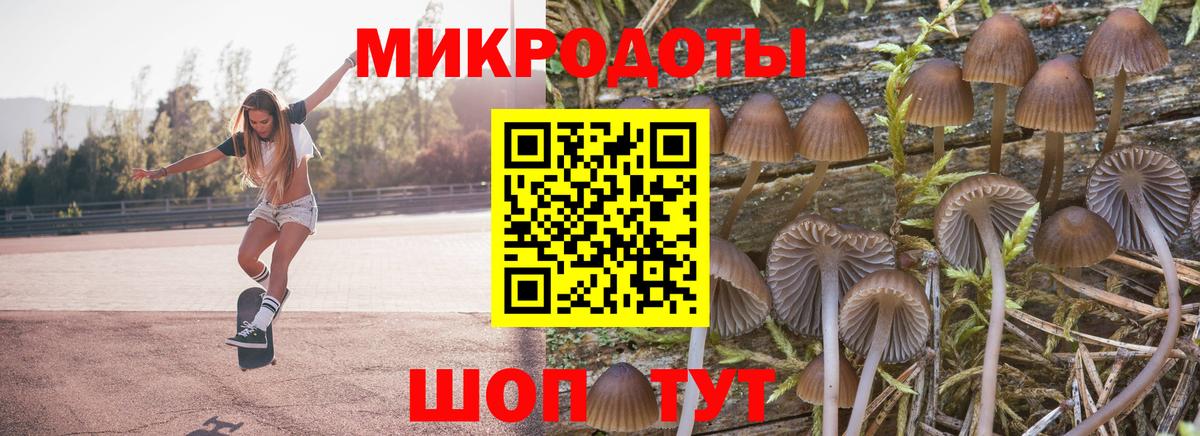 Псилоцибиновые грибы Psilocybe  Псилоцибиновые грибы Psilocybe  Ирбит  Вход с VPN 